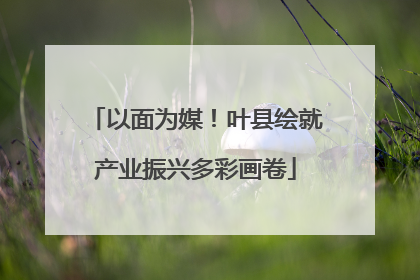 以面为媒！叶县绘就产业振兴多彩画卷