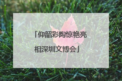 仰韶彩陶惊艳亮相深圳文博会