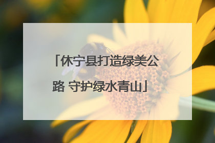 休宁县打造绿美公路 守护绿水青山