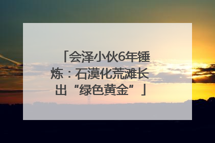 会泽小伙6年锤炼：石漠化荒滩长出“绿色黄金”
