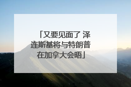 又要见面了 泽连斯基将与特朗普在加拿大会晤