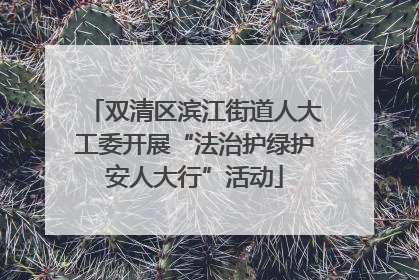 双清区滨江街道人大工委开展“法治护绿护安人大行”活动
