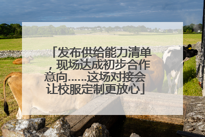 发布供给能力清单，现场达成初步合作意向……这场对接会让校服定制更放心