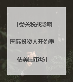 受关税战影响 国际投资人开始重估美国市场