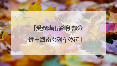 受强降雨影响 部分进出海南岛列车停运