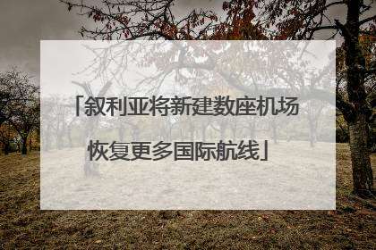叙利亚将新建数座机场 恢复更多国际航线