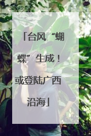 台风“蝴蝶”生成！或登陆广西沿海