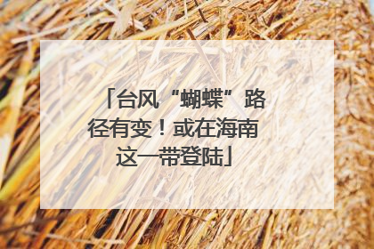 台风“蝴蝶”路径有变！或在海南这一带登陆