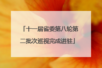 十一届省委第八轮第二批次巡视完成进驻