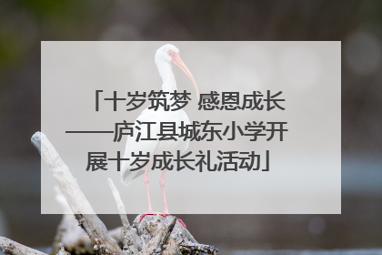 十岁筑梦 感恩成长——庐江县城东小学开展十岁成长礼活动