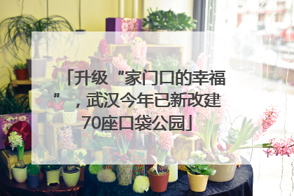 升级“家门口的幸福”，武汉今年已新改建70座口袋公园