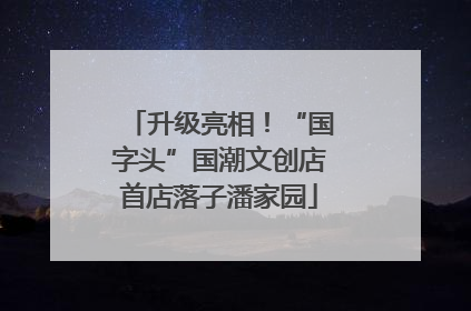 升级亮相！“国字头”国潮文创店首店落子潘家园