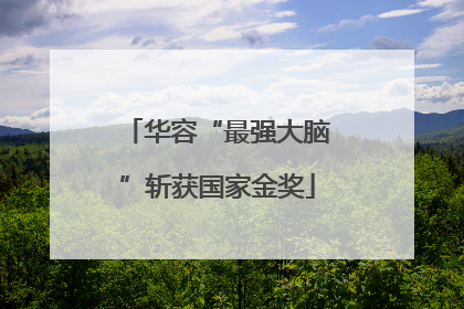 华容“最强大脑”斩获国家金奖