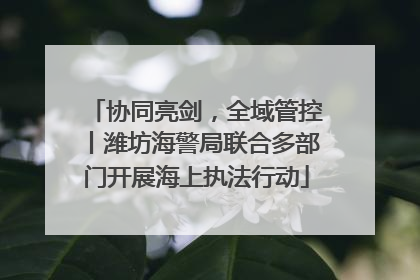 协同亮剑，全域管控丨潍坊海警局联合多部门开展海上执法行动