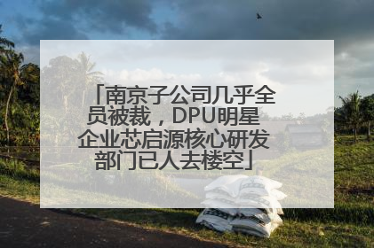 南京子公司几乎全员被裁，DPU明星企业芯启源核心研发部门已人去楼空