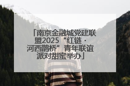 南京金融城党建联盟2025“红链・河西鹊桥”青年联谊派对甜蜜举办