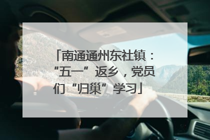 南通通州东社镇：“五一”返乡，党员们“归巢”学习