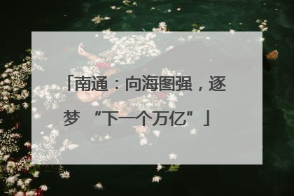 南通：向海图强，逐梦 “下一个万亿”