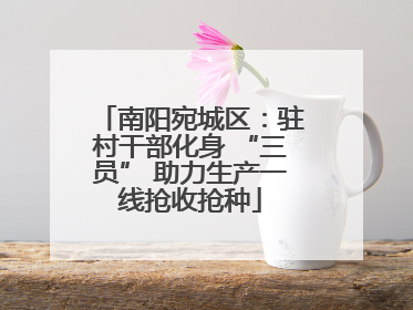 南阳宛城区：驻村干部化身 “三员” 助力生产一线抢收抢种