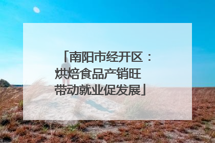 南阳市经开区：烘焙食品产销旺 带动就业促发展