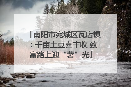 南阳市宛城区瓦店镇：千亩土豆喜丰收 致富路上迎“薯”光