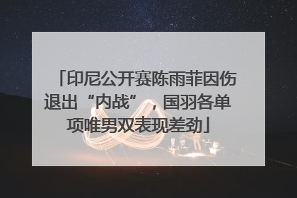 印尼公开赛陈雨菲因伤退出“内战”，国羽各单项唯男双表现差劲