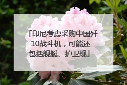 印尼考虑采购中国歼-10战斗机，可能还包括舰艇、护卫舰