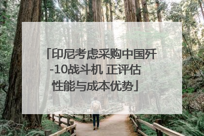 印尼考虑采购中国歼-10战斗机 正评估性能与成本优势