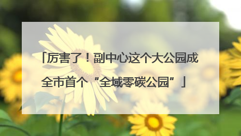厉害了！副中心这个大公园成全市首个“全域零碳公园”