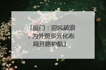 厦门：迎风破浪，为外贸多元化布局开路护航