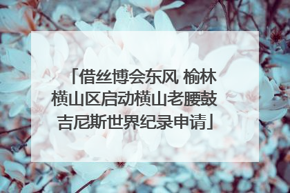借丝博会东风 榆林横山区启动横山老腰鼓吉尼斯世界纪录申请