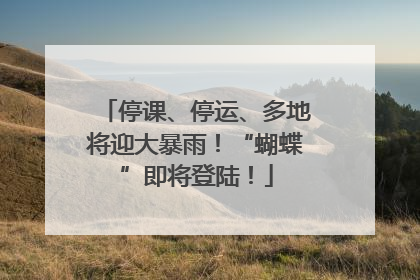 停课、停运、多地将迎大暴雨！“蝴蝶”即将登陆！