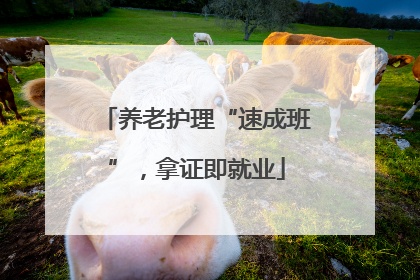 养老护理“速成班”，拿证即就业