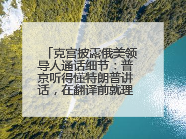 克宫披露俄美领导人通话细节：普京听得懂特朗普讲话，在翻译前就理解了他的意思