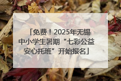 免费！2025年无锡中小学生暑期“七彩公益安心托班”开始报名
