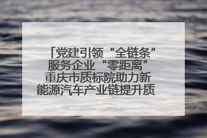 党建引领“全链条” 服务企业“零距离” 重庆市质标院助力新能源汽车产业链提升质量管理水平