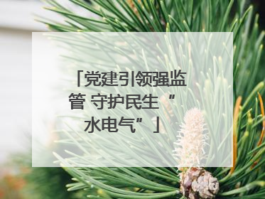 党建引领强监管 守护民生“水电气”