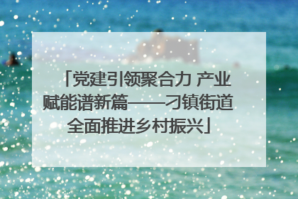 党建引领聚合力 产业赋能谱新篇——刁镇街道全面推进乡村振兴