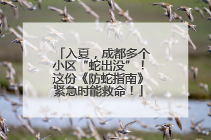 入夏，成都多个小区“蛇出没”！这份《防蛇指南》紧急时能救命！