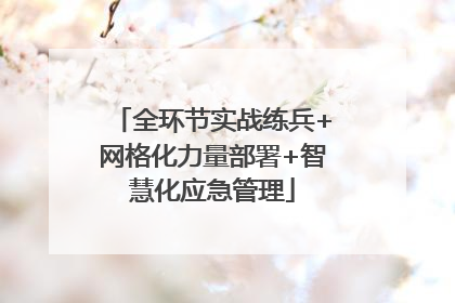 全环节实战练兵+网格化力量部署+智慧化应急管理