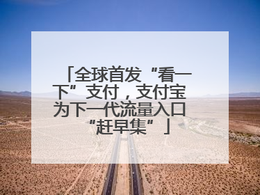 全球首发“看一下”支付，支付宝为下一代流量入口“赶早集”