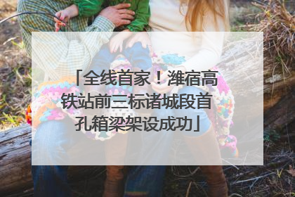 全线首家！潍宿高铁站前三标诸城段首孔箱梁架设成功