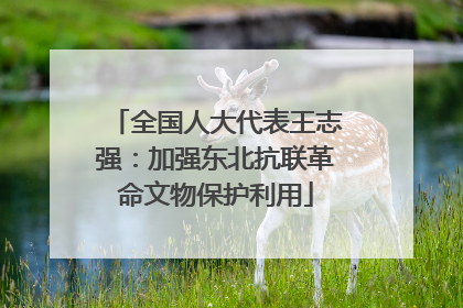 全国人大代表王志强：加强东北抗联革命文物保护利用