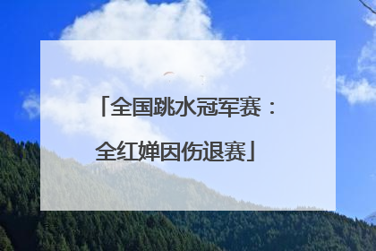 全国跳水冠军赛：全红婵因伤退赛