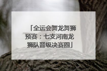 全运会舞龙舞狮预赛：七支河南龙狮队晋级决赛圈