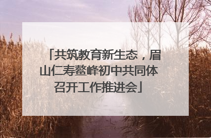 共筑教育新生态，眉山仁寿鳌峰初中共同体召开工作推进会
