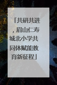 共研共进，眉山仁寿城北小学共同体赋能教育新征程