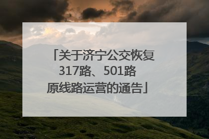 关于济宁公交恢复317路、501路原线路运营的通告