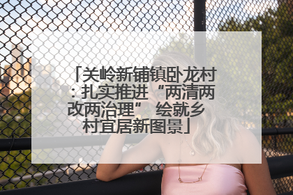关岭新铺镇卧龙村：扎实推进“两清两改两治理” 绘就乡村宜居新图景