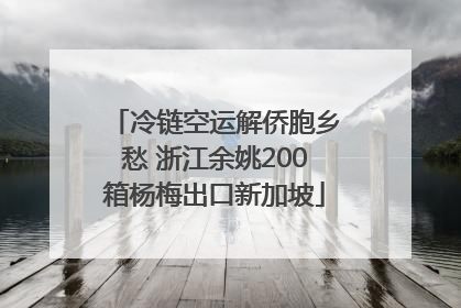 冷链空运解侨胞乡愁 浙江余姚200箱杨梅出口新加坡